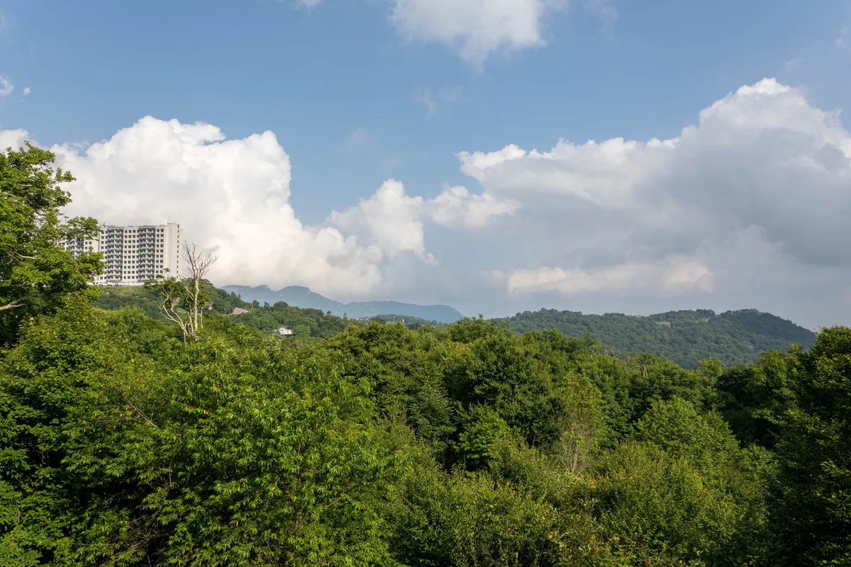 This image captures a sweeping view of green, dense foliage with the distant Blue Ridge Mountains rising in the background. A modern building nestles into the natural surroundings, blending architecture with the landscape. The scene is tranquil, inviting viewers to imagine the fresh mountain air and the adventure waiting just outside.